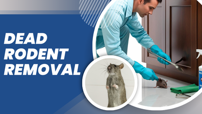 Dead Rodent Removal